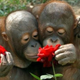 Image for article titled The weird connection between pain and smell - and how people lose both